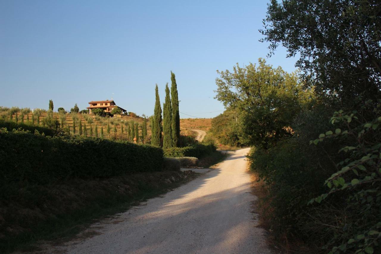 Апартаменты Maremma Che Vista! Campagnatico Экстерьер фото