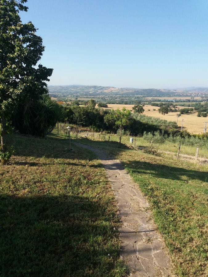 Апартаменты Maremma Che Vista! Campagnatico Экстерьер фото