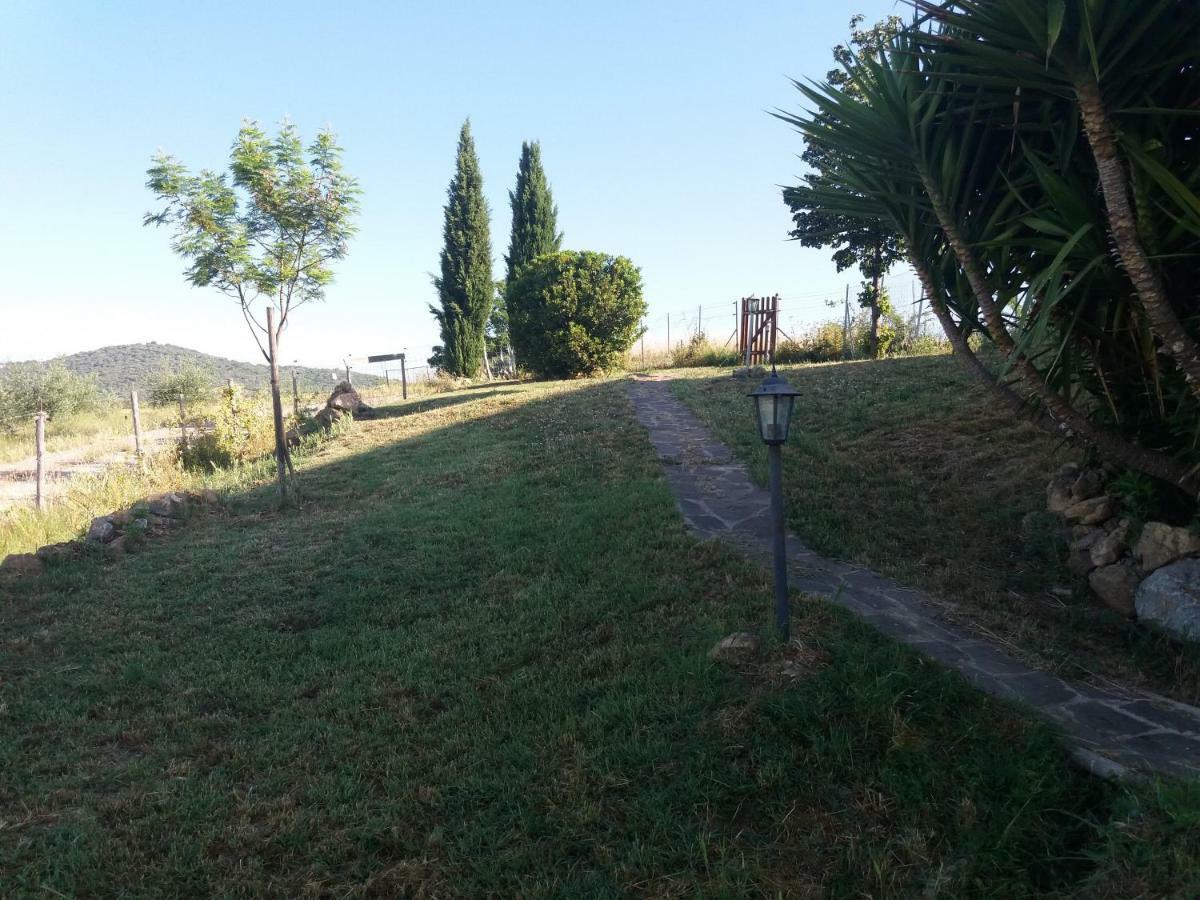 Апартаменты Maremma Che Vista! Campagnatico Экстерьер фото