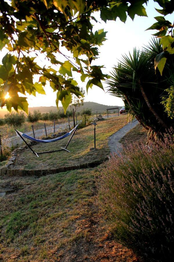 Апартаменты Maremma Che Vista! Campagnatico Экстерьер фото